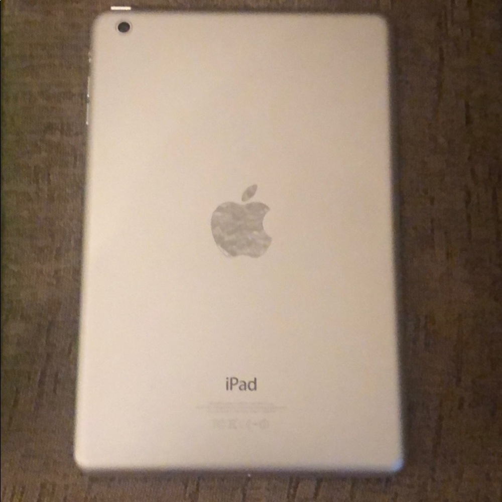 Apple 1st Gen IPad Mini with case